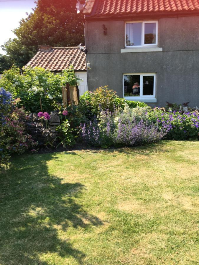 Oscar Park Farm Bed and Breakfast York Eksteriør billede